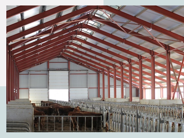 Строительство коровников в Ставрополе