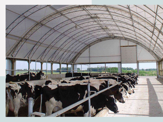 Тентовые коровники в Ставрополе